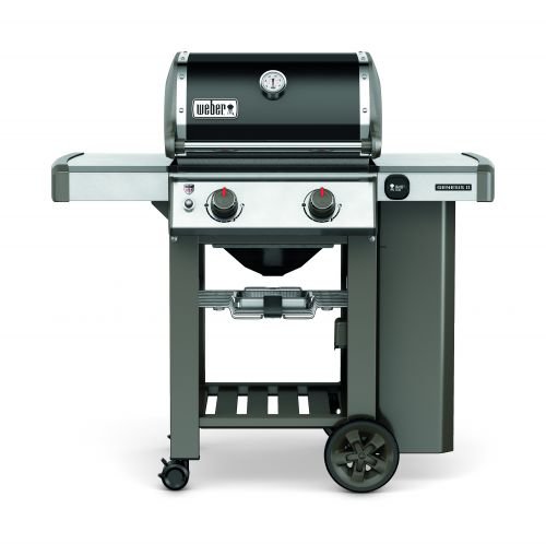 Weber Genesis II E-210 GBS
