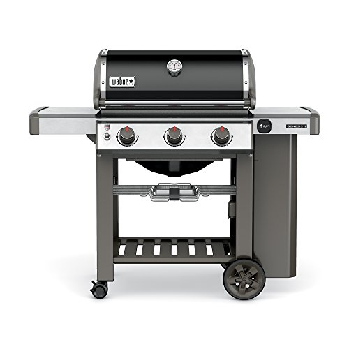 Weber Genesis II E-310 GBS