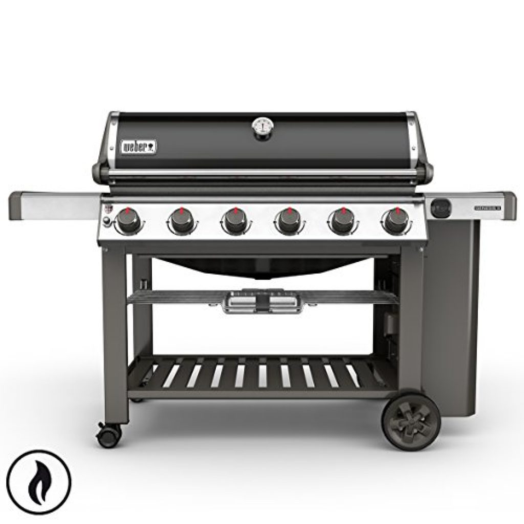 Weber Genesis II E-610 GBS