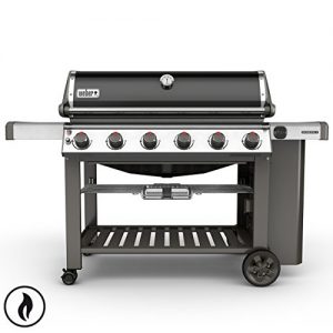 Weber Genesis II E-610 GBS