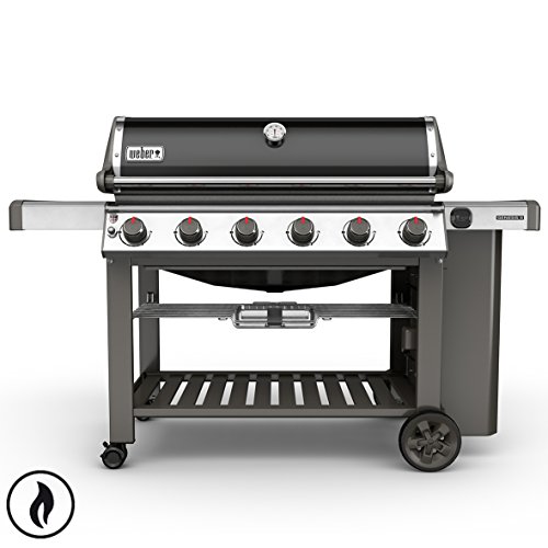 Weber Genesis II E-610 GBS