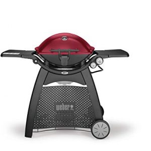 Weber Q 3200