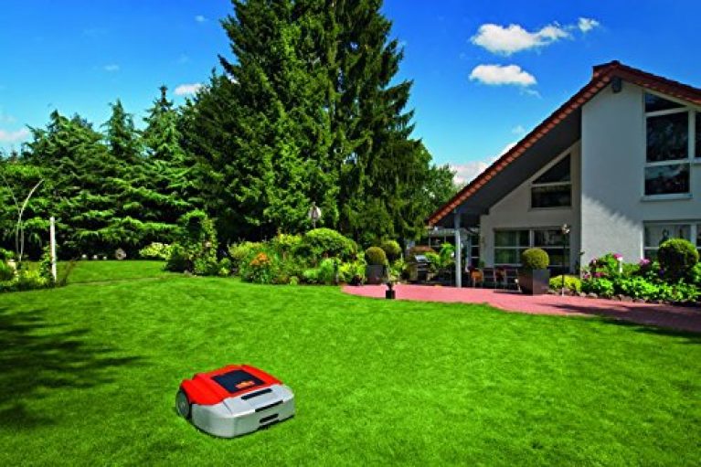 Wolf Robo Scooter 1800 - Produktbild 1