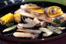 Outdoorchef Ambri 480 G