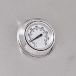 Taino Platinum 3+1/4+2