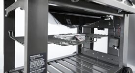 Weber Genesis II E-310 GBS