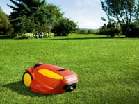 Wolf Ambition Robo Scooter 600